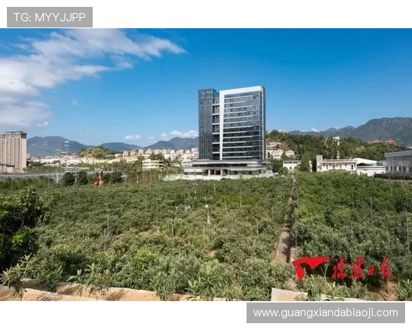 BTI体育：以科技创新推动体育产业高质量发展的实践探索