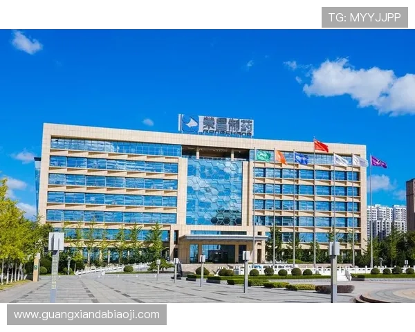 凯发国际k8直播平台安全性分析与用户体验提升策略，保障您的资金安全